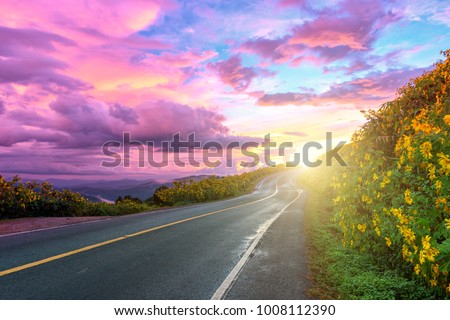 Empty asphalt road through Mexican sunflower flower field to sunset sky at Mae Hong Son Province, Thailand.
