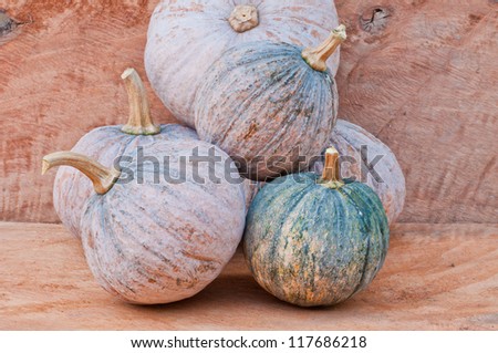 Rustic autumn still life with mini pumpkins on old wood  in background. Macro with shallow dof.