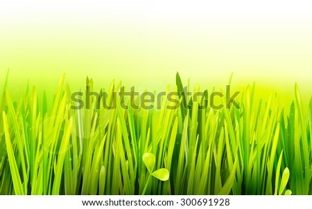 Realistic grass environmental illustration. Eco friendly field background. Summer green landscape banner. Growth flora. Park field.