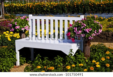 white bench in flowers garden