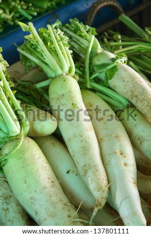 pile of organic white radish (Daikon radish) for retail sale in organic product market in thailand