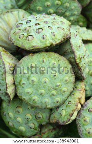 pile of lotus seed for sale to use for being food in local market