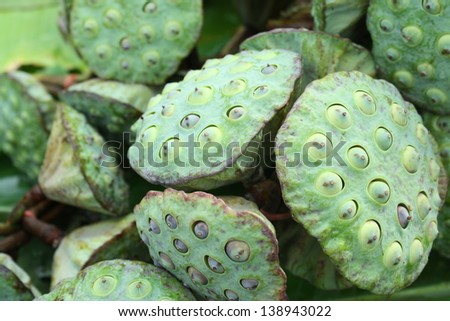 pile of lotus seed for sale to use for being food in local market