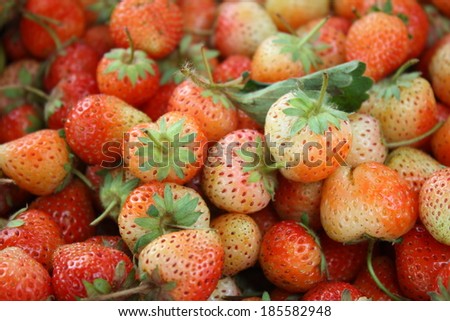 pile of thai strawberry. It is a strain of No.30. red and white strawberry. backgroound of strawberry.