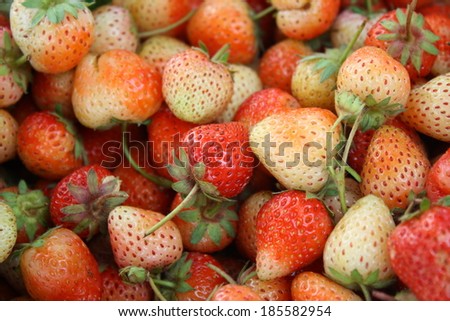 pile of thai strawberry. It is a strain of No.30. red and white strawberry. backgroound of strawberry.