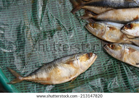 ?big fish talk to small fish. dull mackerel fish were sold in local market.