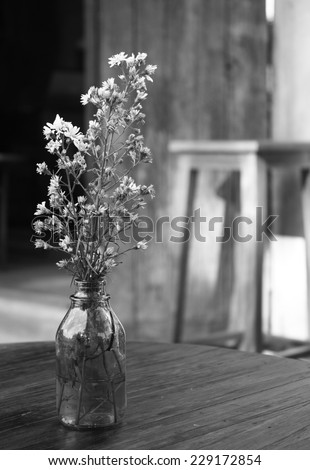 black and white picture of old white aster in light brown bottle on wooden table. white cutter flower