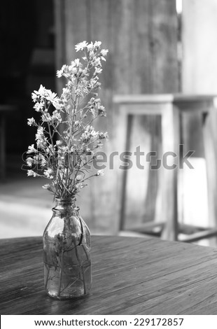 black and white picture of old white aster in light brown bottle on wooden table. white cutter flower