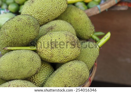 raw jackfruit or green jackfruit for sale to be edible vegetable in thailand local market