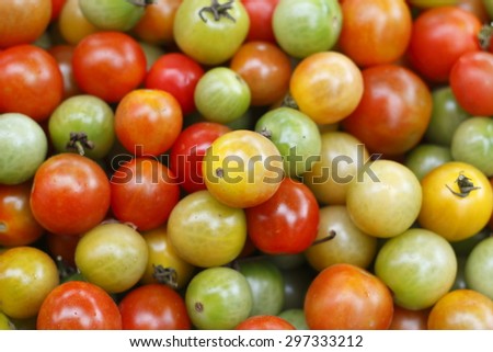 colorful tomato, red tomato, green tomato, red and green tomato.\
tomato background.
