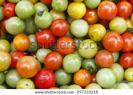colorful tomato, red tomato, green tomato, red and green tomato.\
tomato background. red and green tomato background.