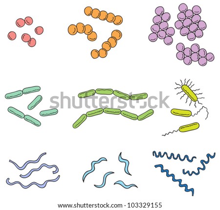 Cartoonish Bacteria