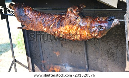 roasted suckling pig on wood and charcoal outdoors