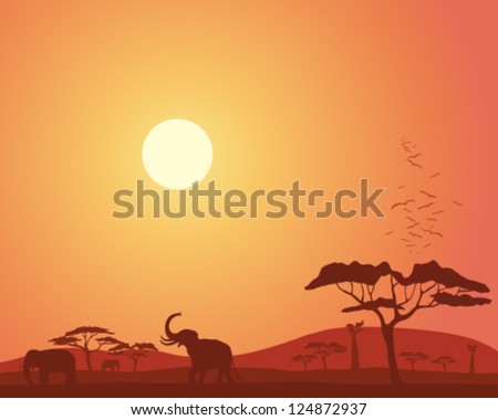 a vector illustration in eps 10 format of a colorful african landscape with acacia trees hills elephants and roosting birds under a bright sunset sky