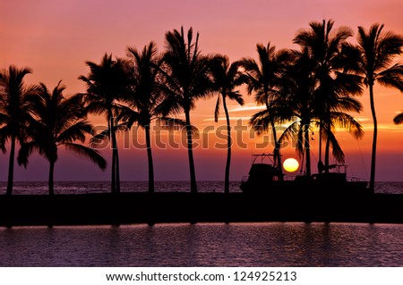 Sunset silhouettes in Big Island Hawaii