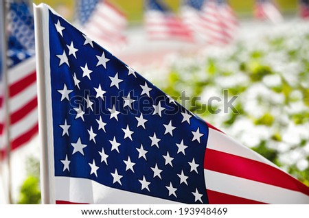 Row of American flags displayed on the street side along flowerbed, closeup with shallow depth of field