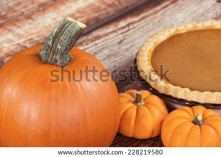 Closeup of a pie pumpkin. Mini pumpkins and a pie on the background on wooden table.