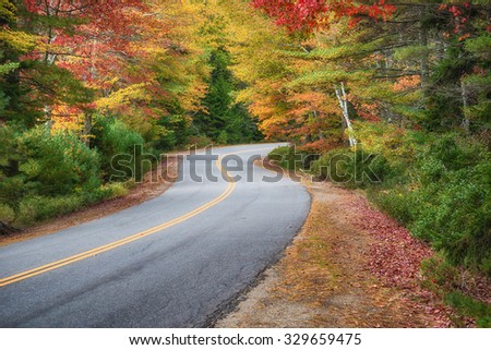 Winding road curves through colorful autumn trees in New England