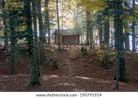 Wooden shelter in the forest  in  \