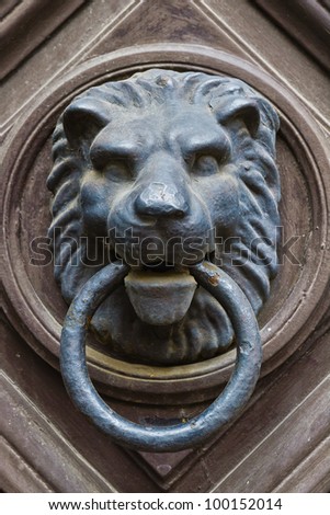 metal head of lion on the front door