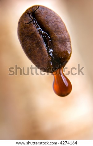Drop of coffee dripping from coffee seed. Shallow depth of field. Clipping path included.