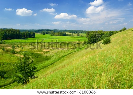 Saturated summer landscape - view of the slope.