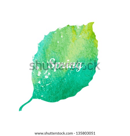 Watercolor green leaf design element Vector illustration Watercolor green leaf design element Vector illustration