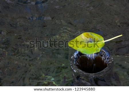 A leaf is going down in a water vortex