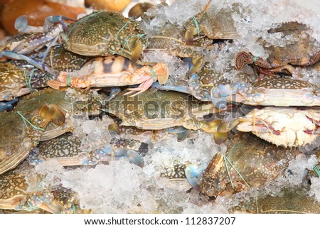 Fresh raw flower crab or blue crab in Thailand fresh market