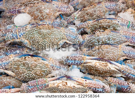 Fresh raw flower crab or blue crab in Thailand fresh market
