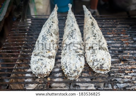 Grill snake head fish with salt coated,the popular food in Thailand