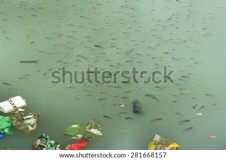 Garbage in the water. Bad ecology. River City. Asia.