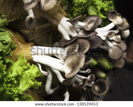 Mushrooms in the produce of the farmers in the show room