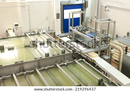 Industrial production of hard cheeses. Cheese is very tasty and healthy product