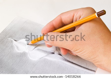 stock photo drawing a calla lily flower with pencil in hand