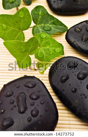 closeup of spa stones and ivy with water-drops on bamboo board