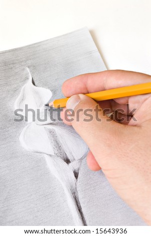 stock photo right hand drawing calla lily flower