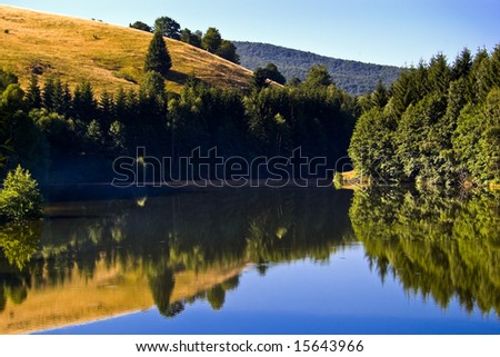 hill with trees reflection on mountain lake