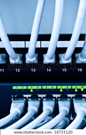 network patch cables and switch