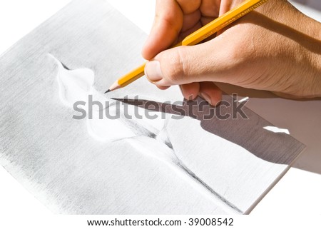 stock photo pencil in hand drawing calla lily flower in sun light