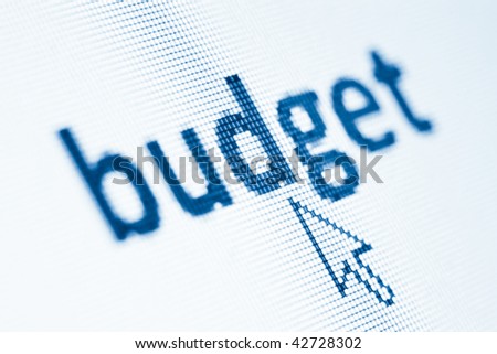 word budget on computer screen with cursor