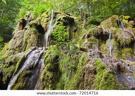 big waterfall in green wood and mossy mud
