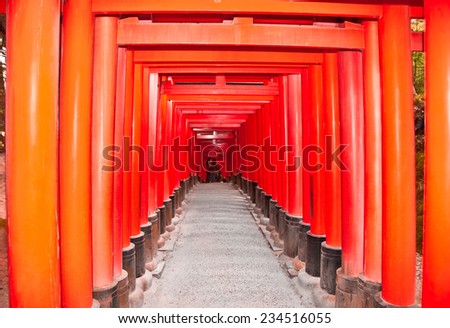Tori gates at Fushimi Inari Shrine in Kyoto, Japan.