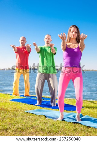 Tree people practice Yoga asana at lakeside on suny day. Yoga concept.