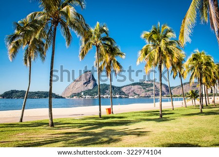 Palms tree on Botafogo beach and Sugarloaf  mountain in Rio de Janeiro, Brazil.