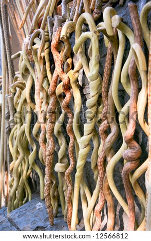 walking stick wood