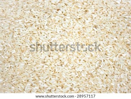 A layer of rice crop as a background or texture, India