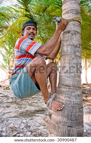 Tree Man India