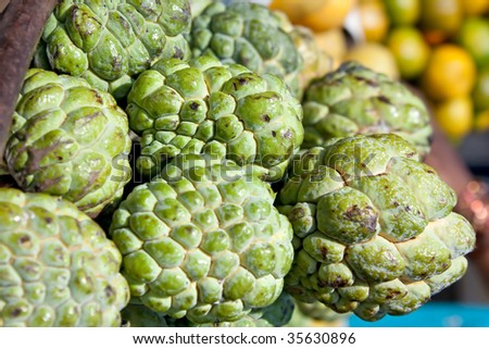 Fresh organic white bulb  Custard Apple for sale at a market for farm products, India