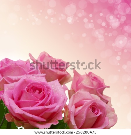 Roses bouquet isolated on white background.Mother\'s day card.